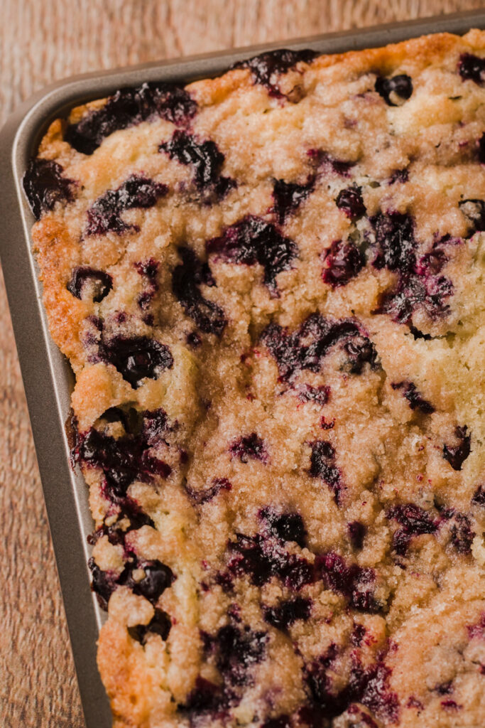 juicy blueberries in a fluffy cake with a cinnamon topping
