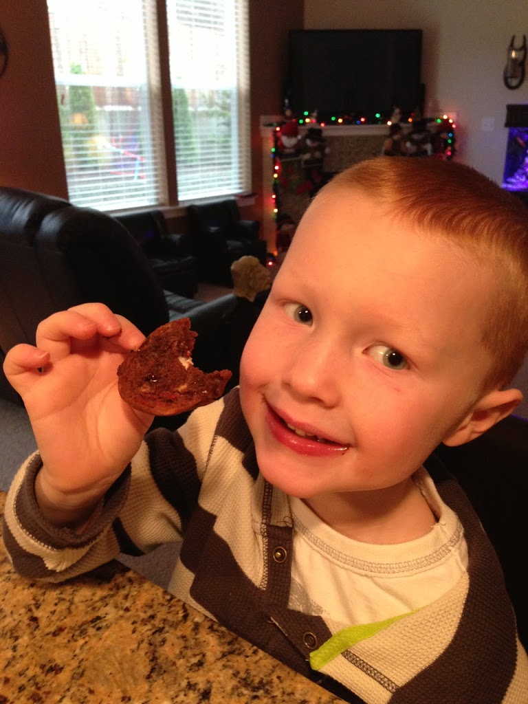 chocolate peppermint cookies that are kid approved