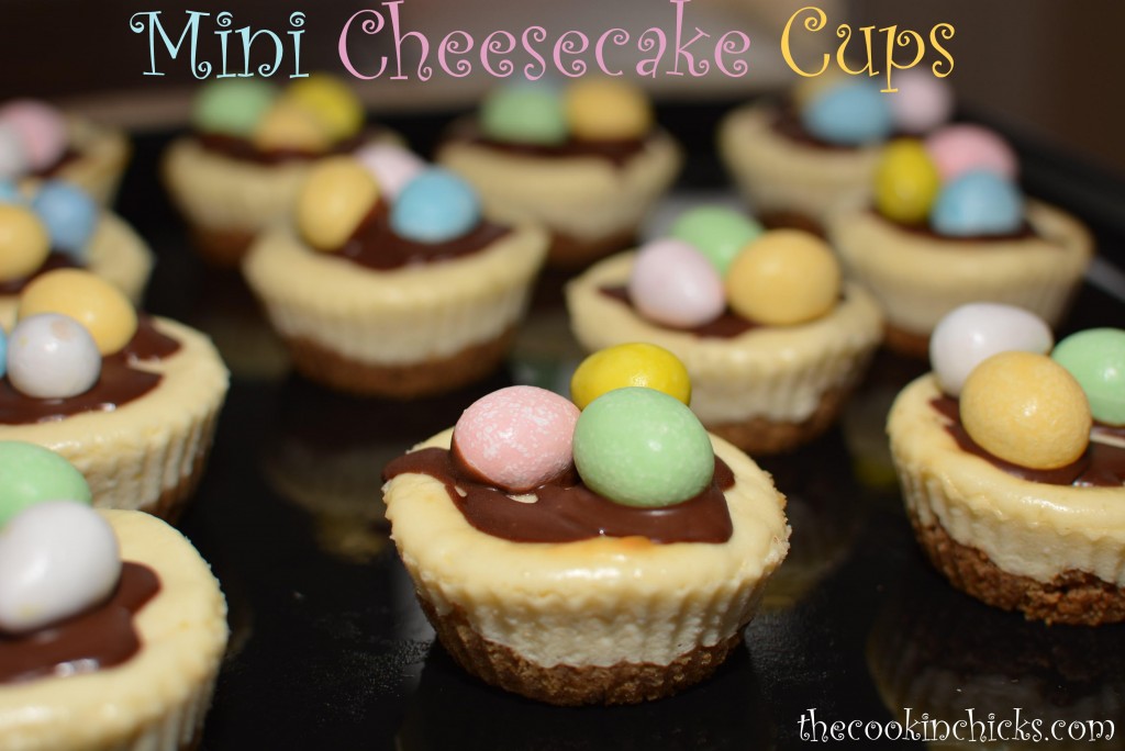 mini cheesecake cups made in a cupcake pan with a creamy filling and graham cracker crust