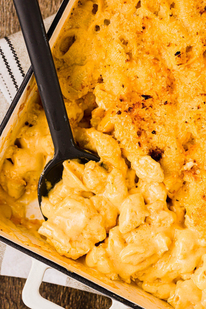 macaroni and cheese baked in a casserole dish and topped with bread crumbs.