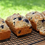 flavorful lemon bread with blueberries and oats throughout