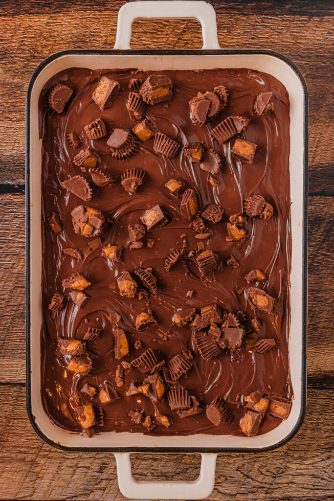 a chocolate dessert baked in a 9x13 baking dish.