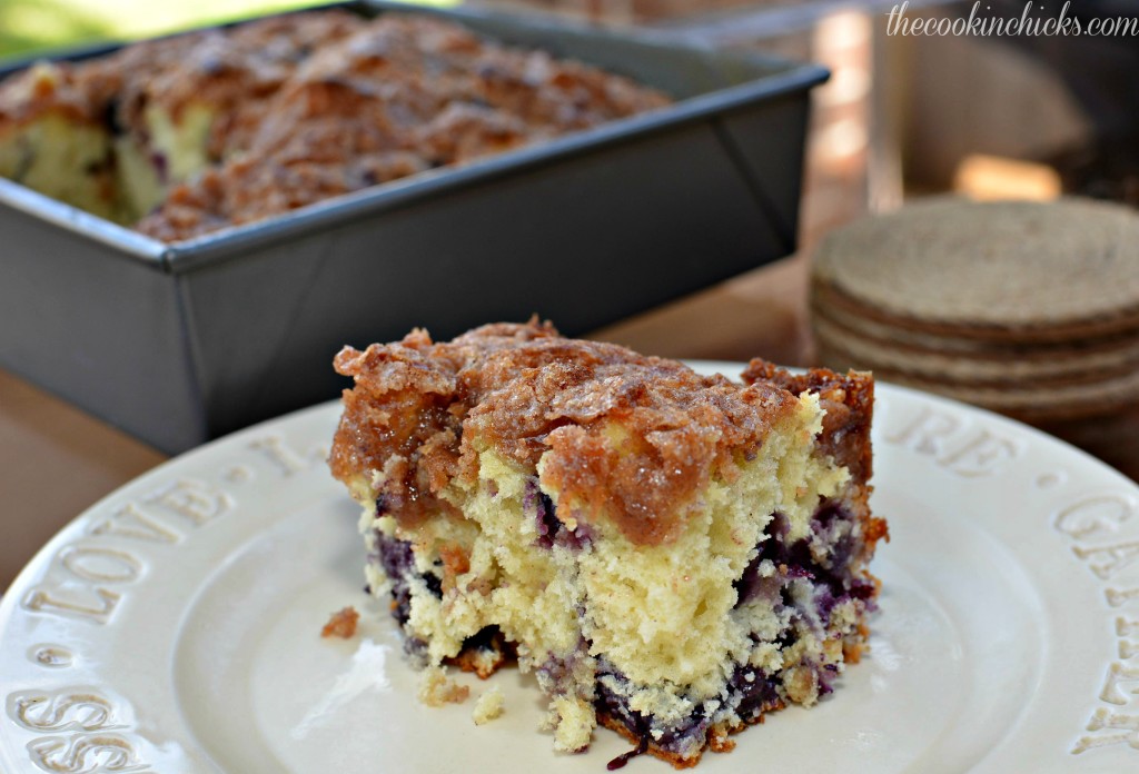 blueberry cake topped with cinnamon streusel perfect for breakfast, brunch, or anytime