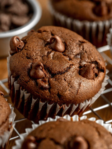 death by chocolate muffins filled with chocolate chips throughout.