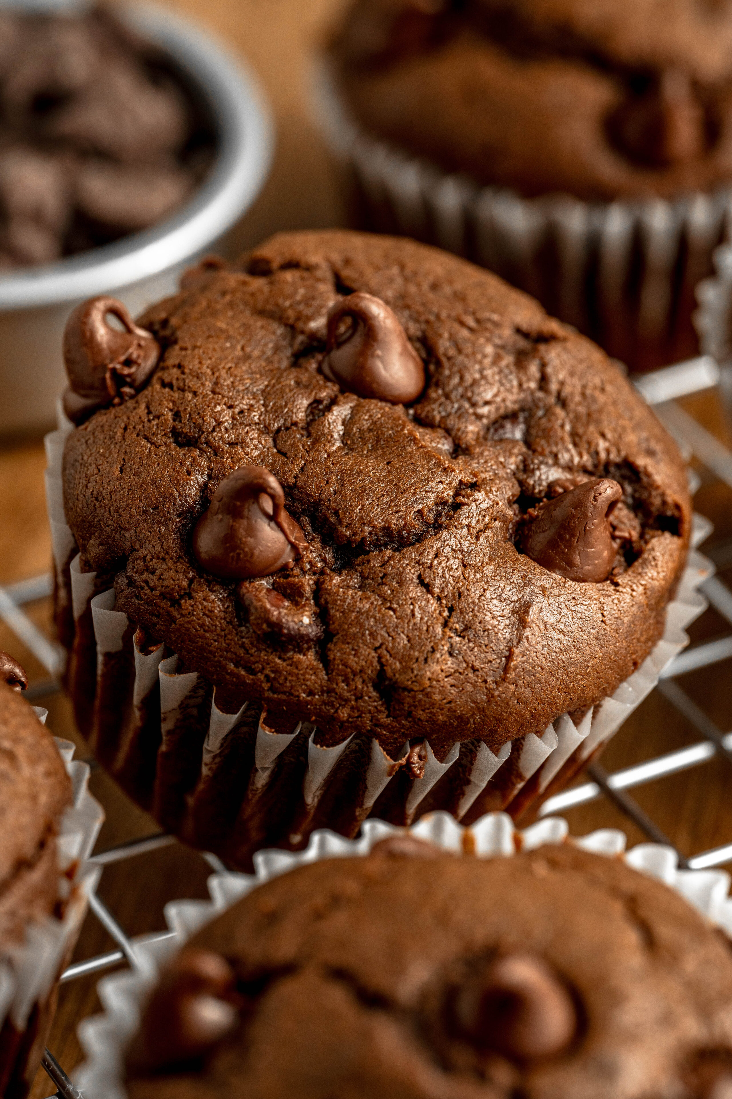 a chocolate muffin with chocolate chips throughout.