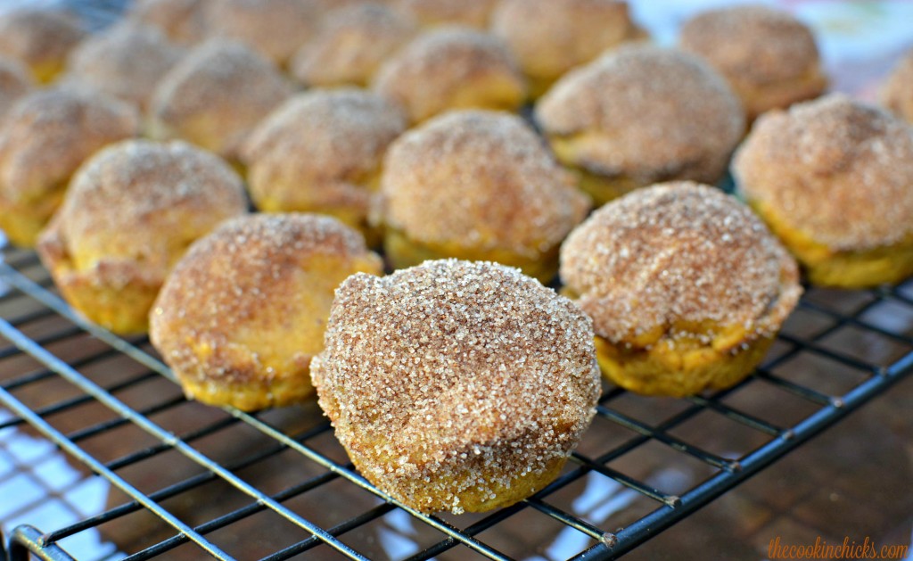 mini cinnamon sugar pumpkin muffins