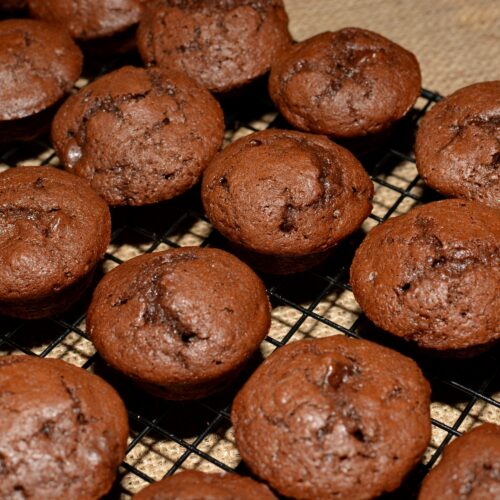 Copycat Costco Chocolate Muffins - The Cookin Chicks