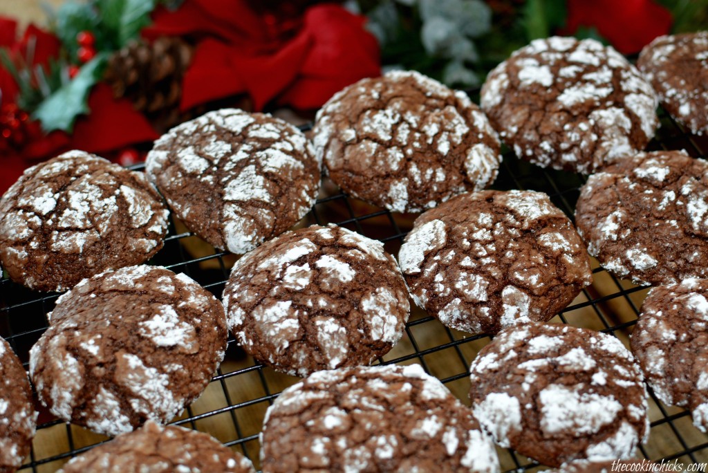 classic chocolate cookies with a powdered sugar coating
