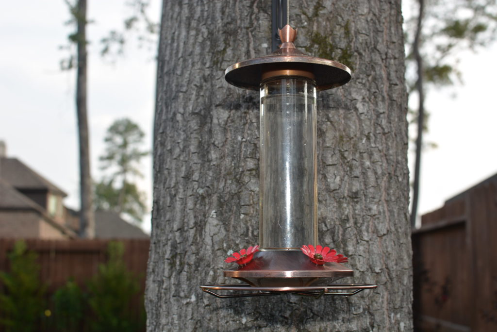 Using simple ingredients, hummingbird nectar is quick to prepare and much healthier for the birds