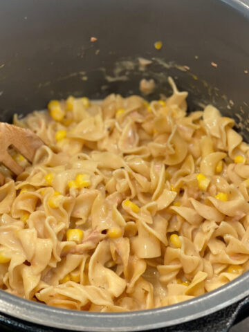 tender noodles combined with tuna and cheese to form a casserole
