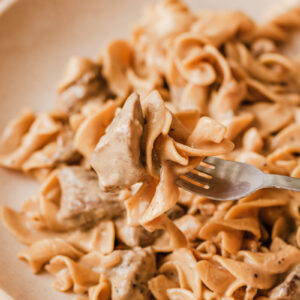 tender pieces of beef combined with pasta in a creamy onion sauce.