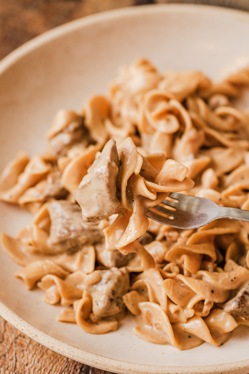 French Onion Beef and Noodles - The Cookin Chicks