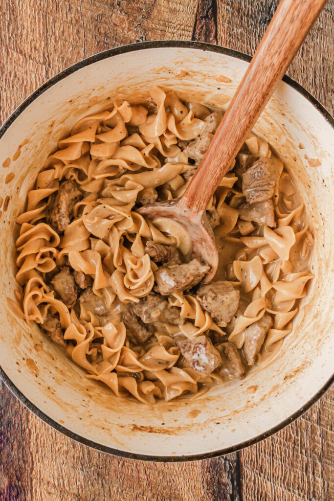 a one pot meal consisting of beef and noodles with an onion sauce.