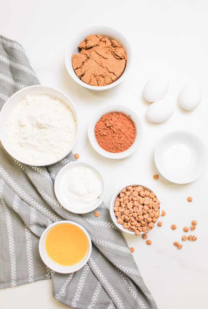 all the ingredients needed for chocolate peanut butter bread.