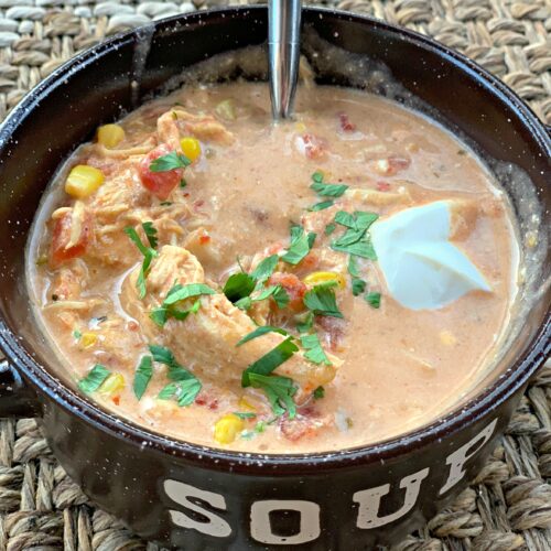 Zesty Mexican Chicken Soup - The Cookin Chicks