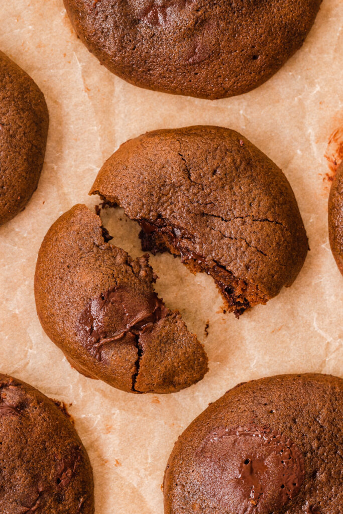 rich, decadent chocolate cookie