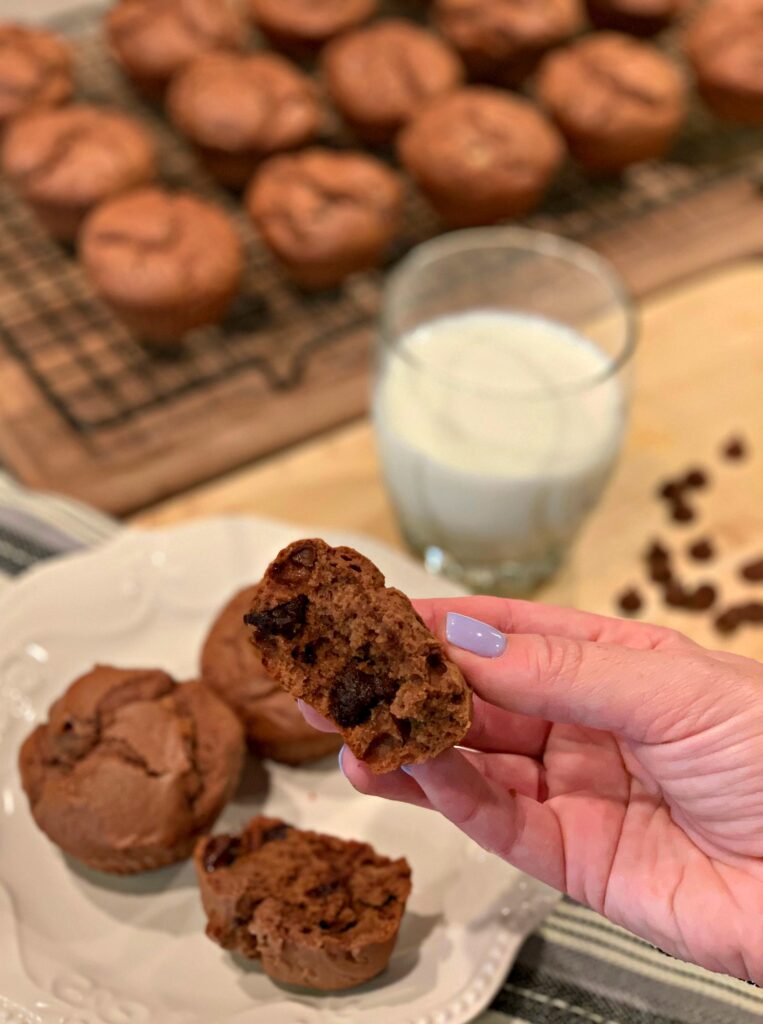 a chocolate peanut butter muffin split in half to show how moist and fluffy they are on the inside