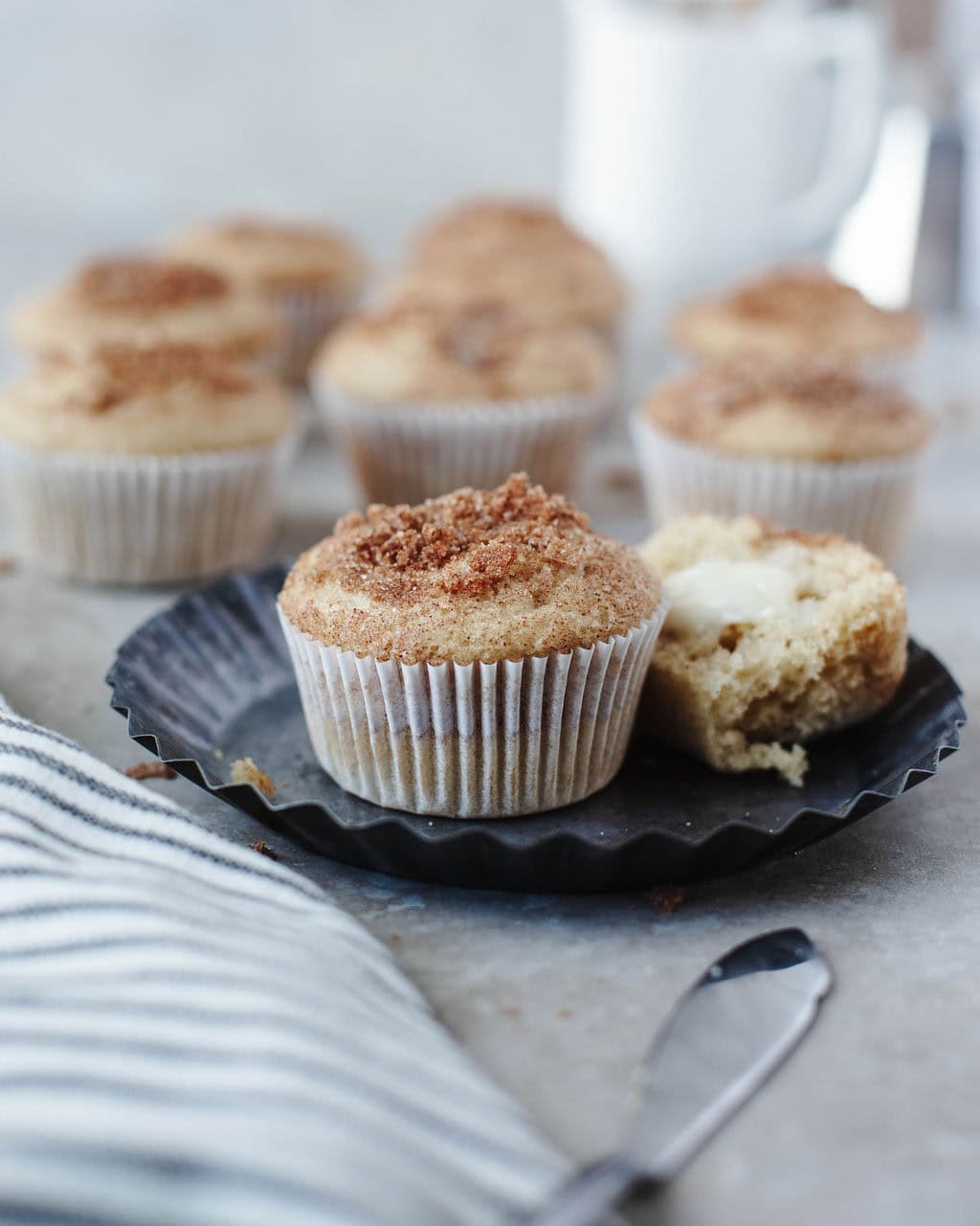 Cinnamon Sugar Breakfast Muffins