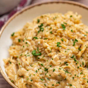 tender rice combined with shredded chicken and an onion sauce