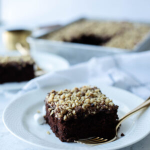 a moist and fluffy chocolate cake covered with marshmallow, pecans, and fudge frosting.