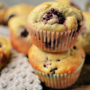 fresh blackberries scattered throughout a simple vanilla muffin