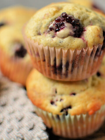 fresh blackberries scattered throughout a simple vanilla muffin