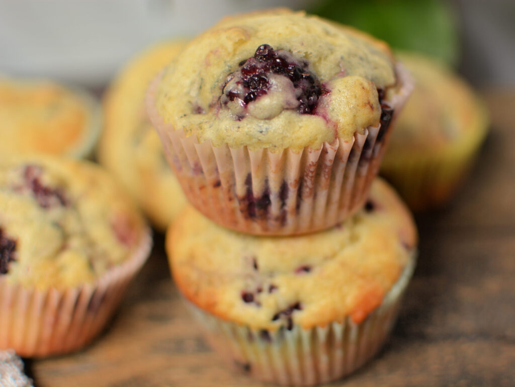 simple muffins with blackberries throughout