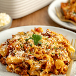 a serving of baked pasta on a serving dish.