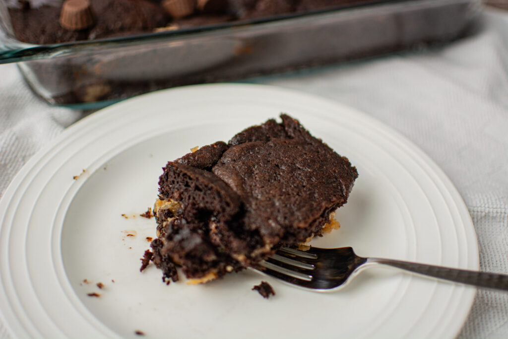 a piece of chocolate cake on a white plate.
