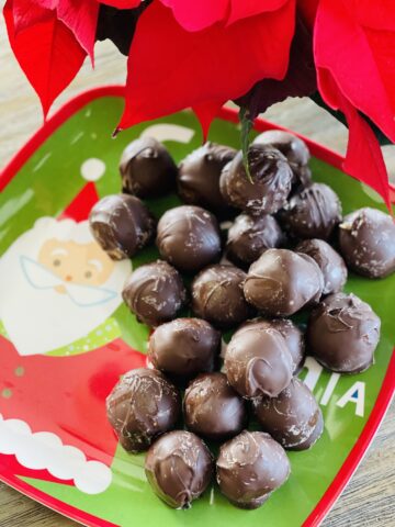 Chocolate Peanut Butter Balls (No-Bake) - The Cookin Chicks