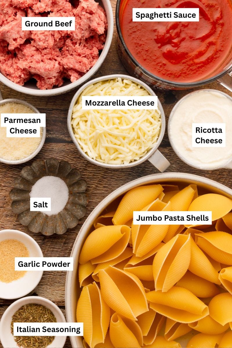 all the ingredients needed to make stuffed lasagna shells.