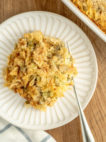 pasta combined in a cream sauce with tuna in a casserole.