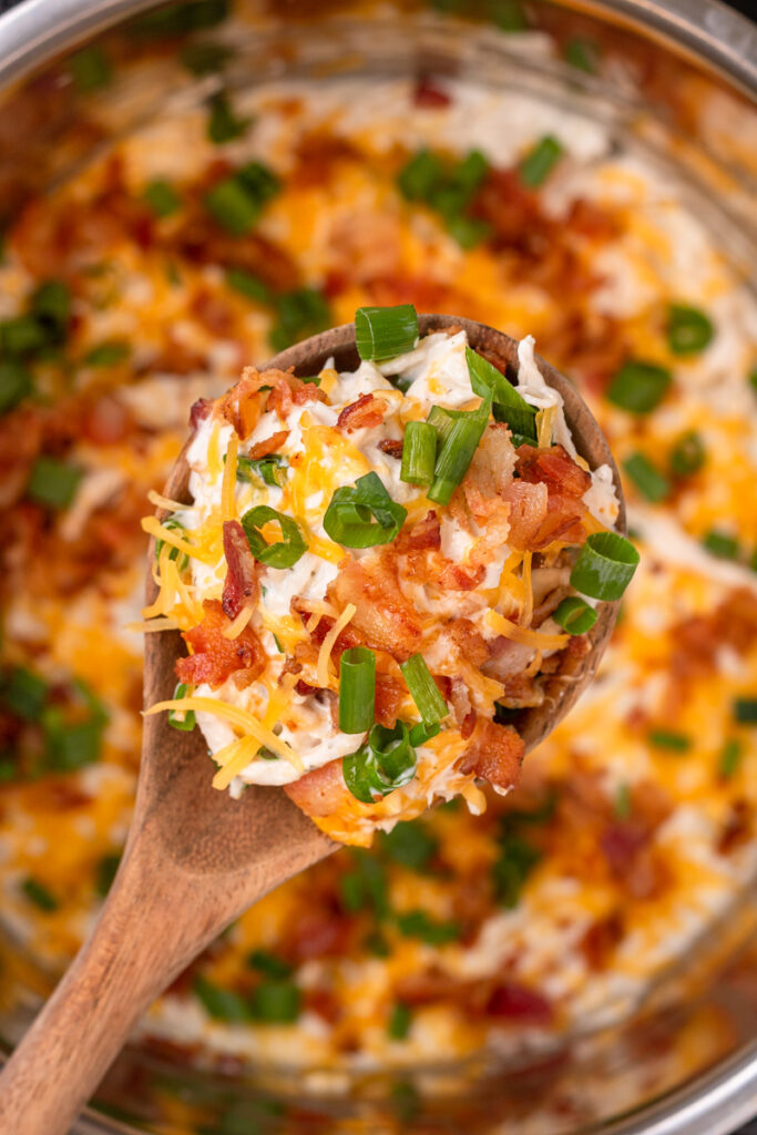 green onions, bacon, cheese, chicken, and ranch mix combined.