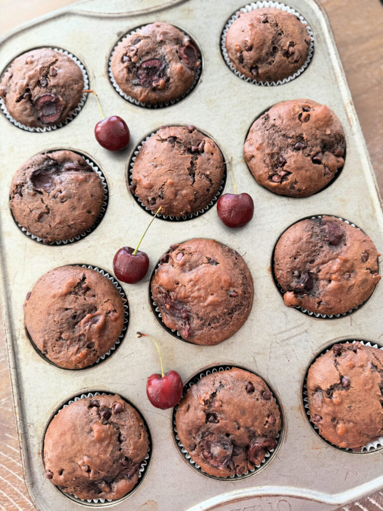 a tray of chocolate cherry muffins from the oven.