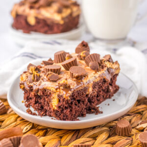 chocolate cake with peanut butter filling and a chocolate frosting.
