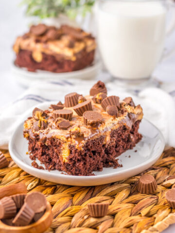 chocolate cake with peanut butter filling and a chocolate frosting.