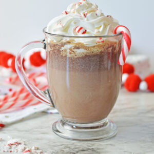 a warm mug of creamy chocolate beverage with minty flavors added.