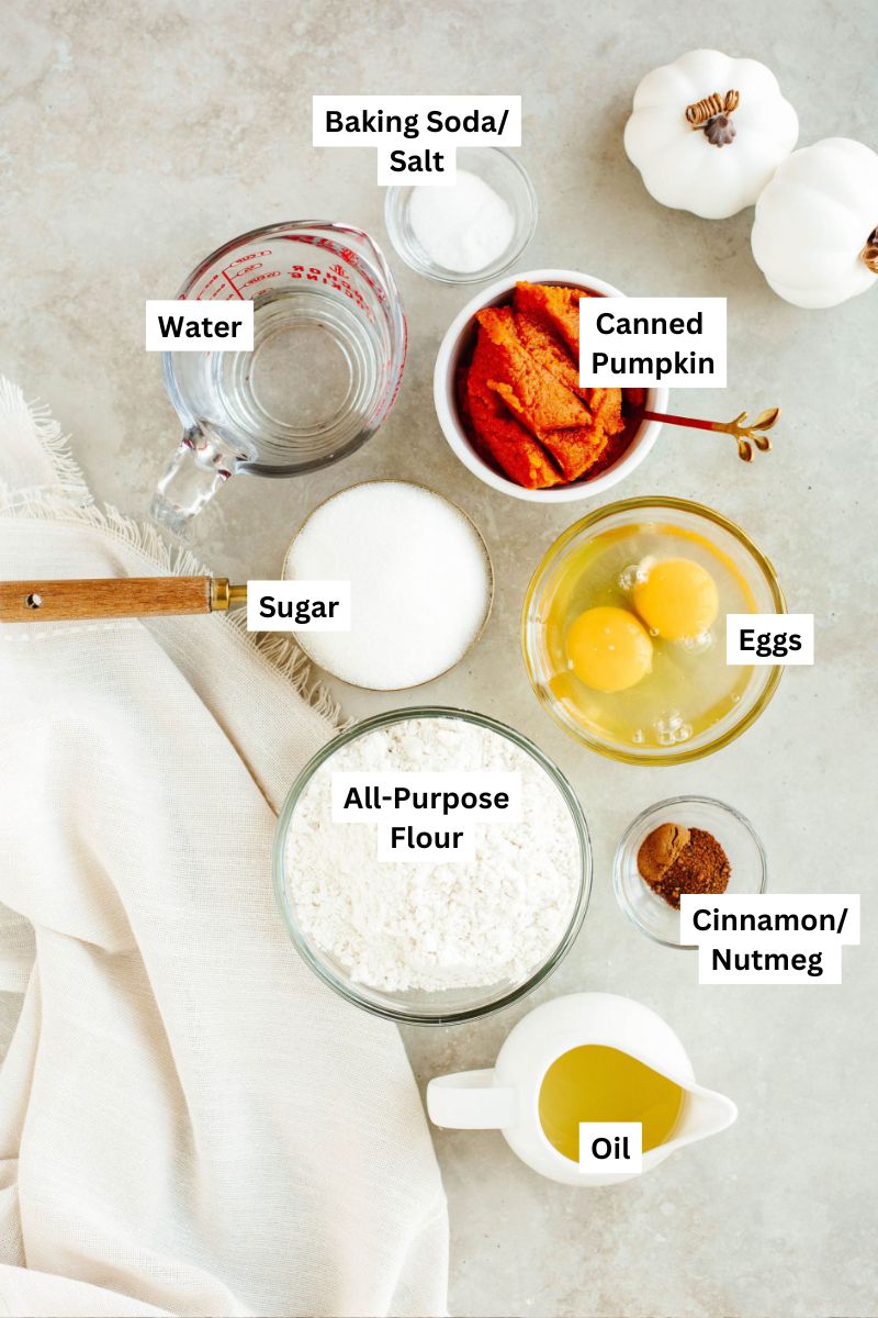 all the ingredients needed to make pumpkin bread.