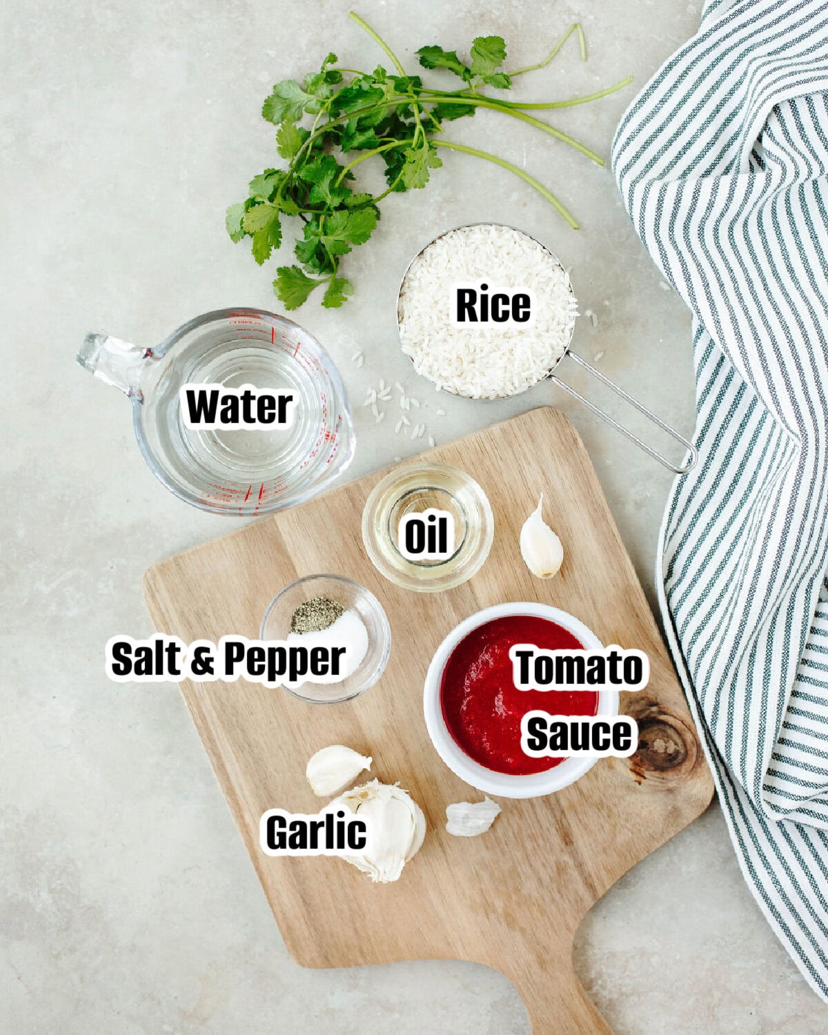 All the ingredients needed to make Instant Pot Mexican rice.