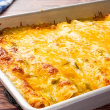 An up close look at cheesy sour cream chicken enchiladas in a white baking dish.