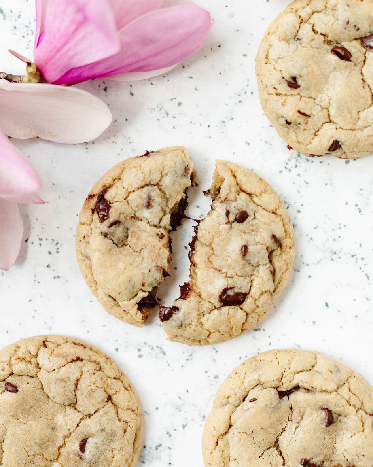 A Disney Gran Floridian Chocolate Chip Cookie broken in half to show the ooey gooey chocolate chips.
