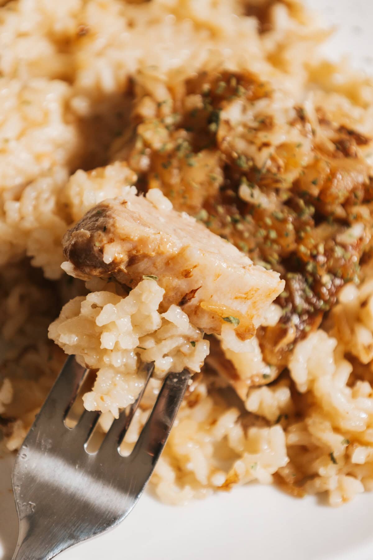 A serving of pork chop with rice on a fork.