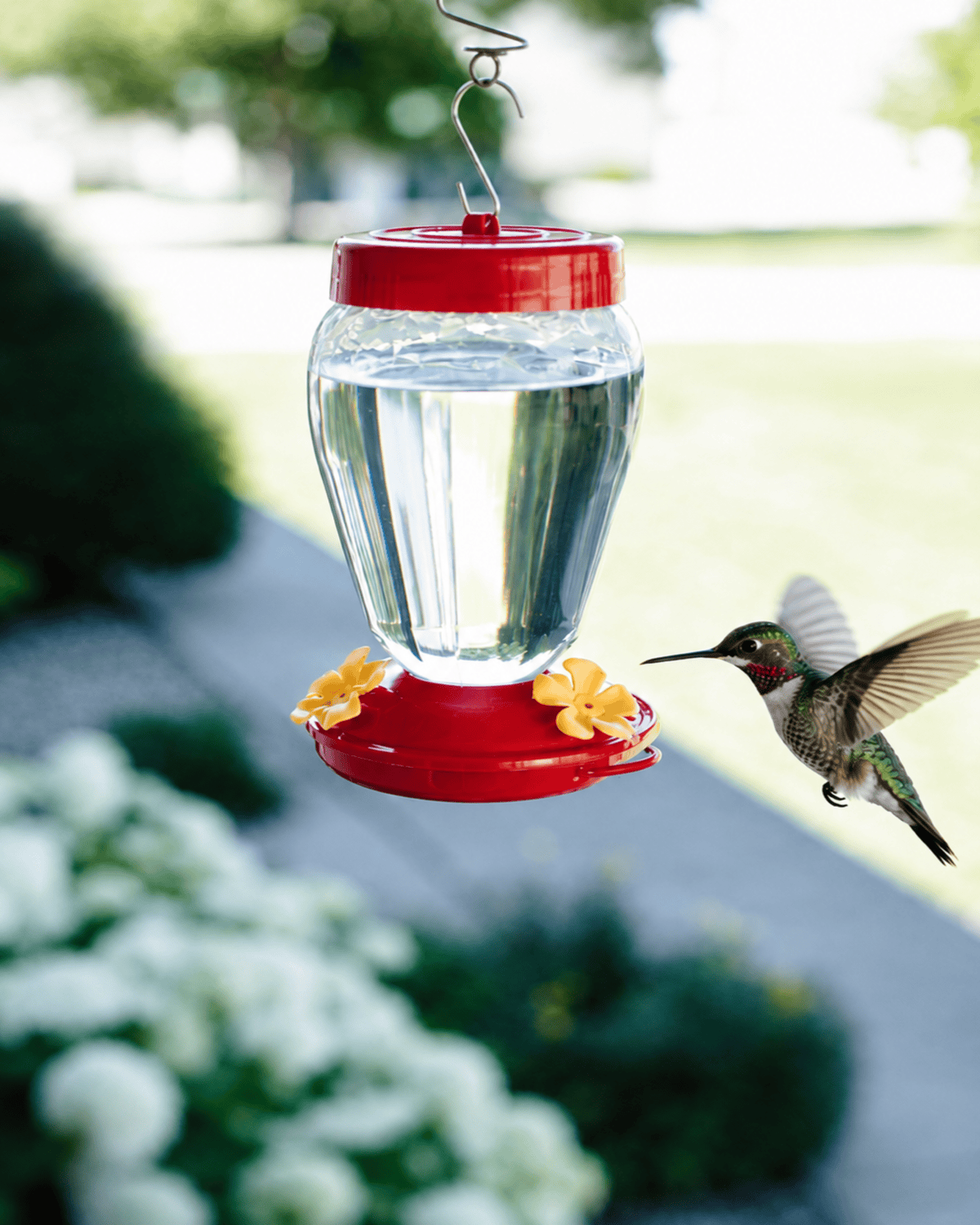 A hummingbird landing on a sugar water filled feeder.
