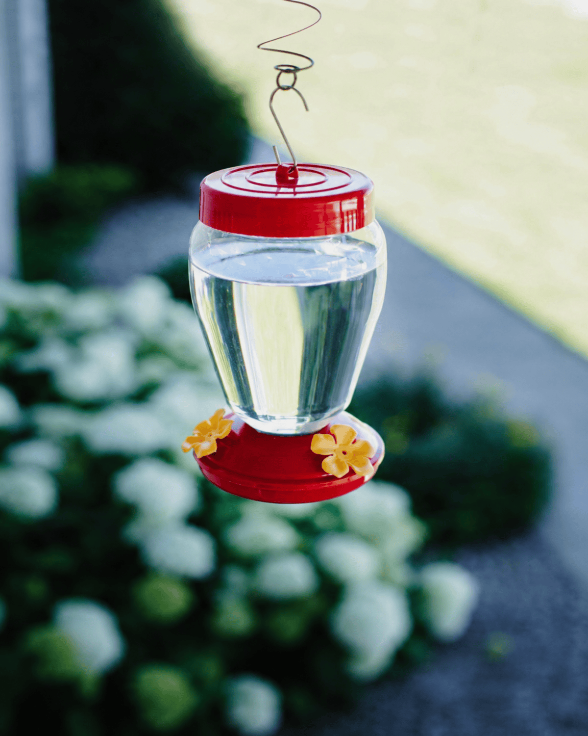 Sugar water filled in a hummingbird feeder.
