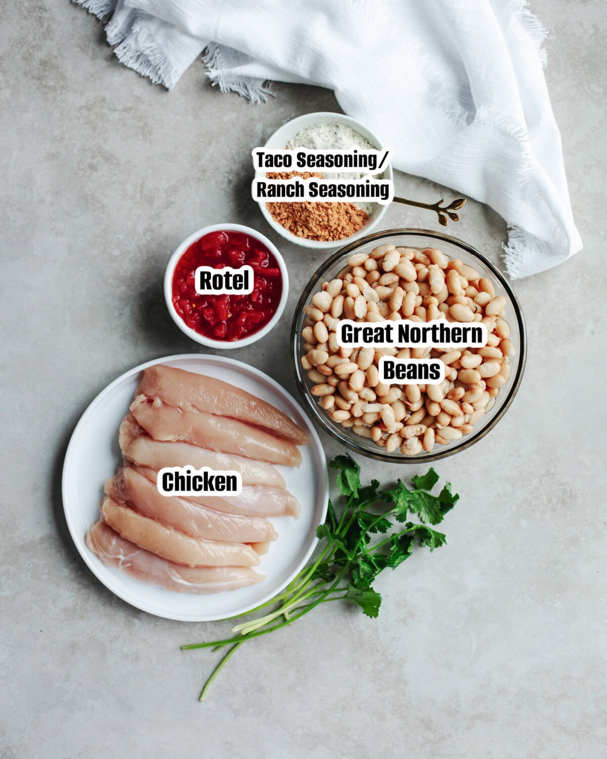 Chicken, Great Northern beans, Rotel, taco seasoning, and ranch seasoning ingredients.