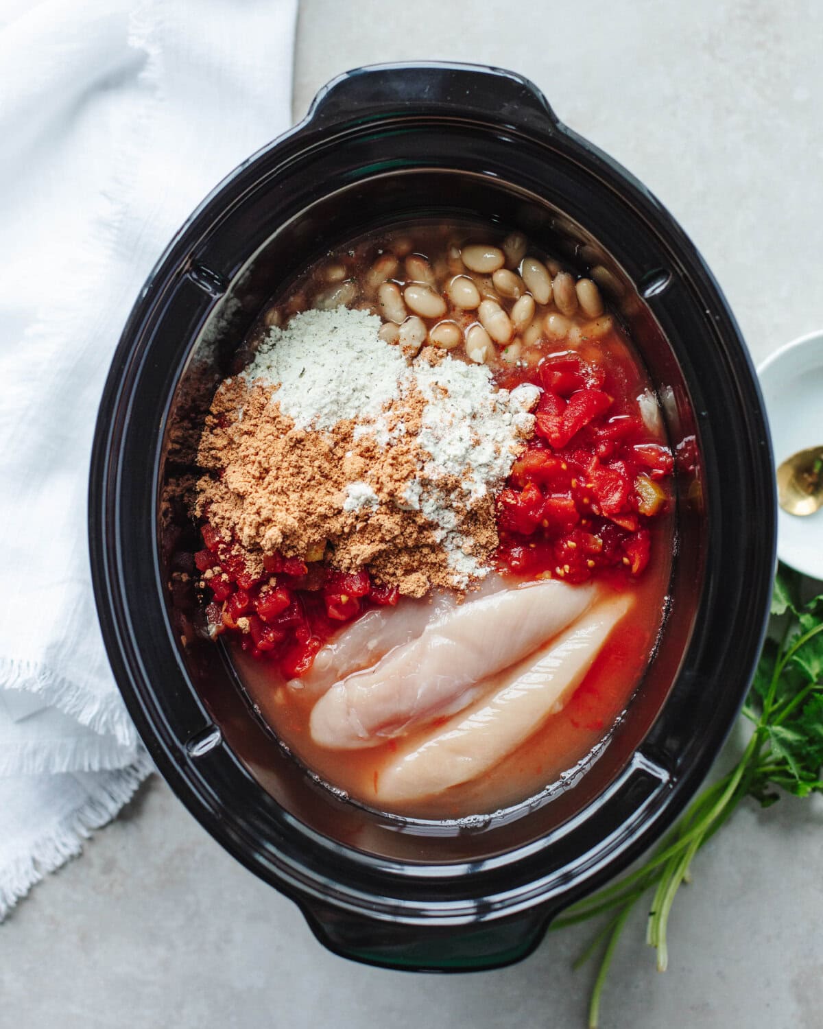 Chicken, Great Northern beans, Rotel, taco seasoning, and ranch seasoning in a slow cooker.