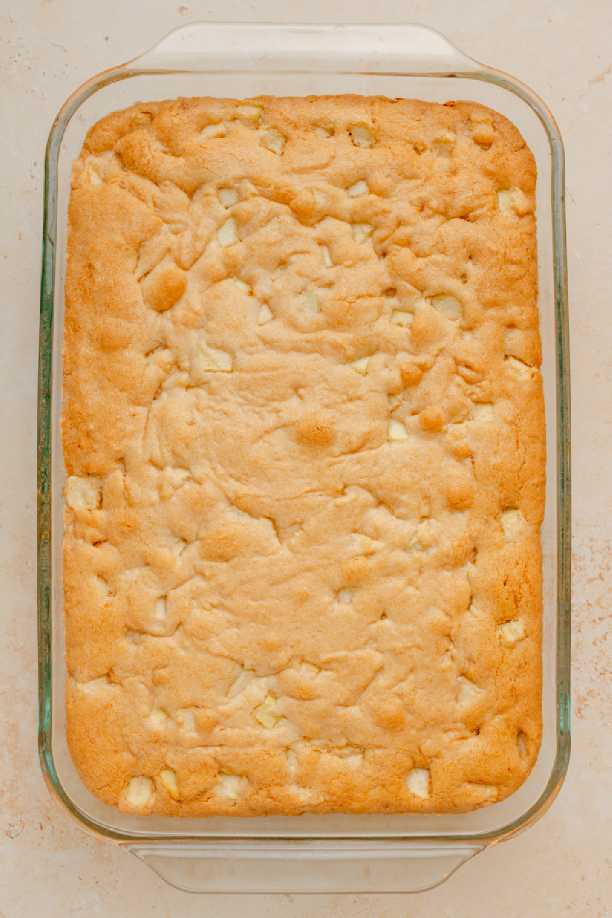 Baked apple cake fresh from the oven.