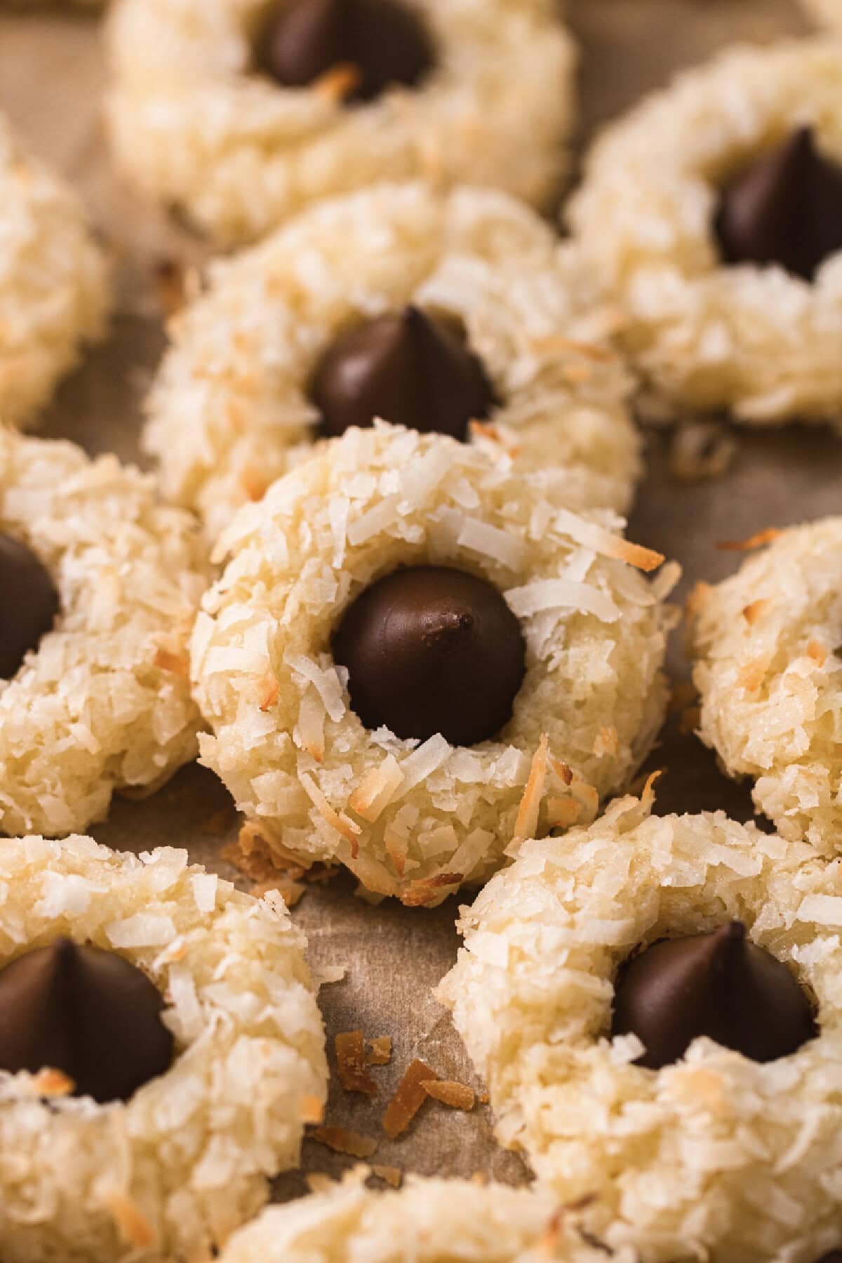 An up close look at a coconut coated cookie with a Hershey kiss center.
